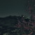 봄, 밤 산책
