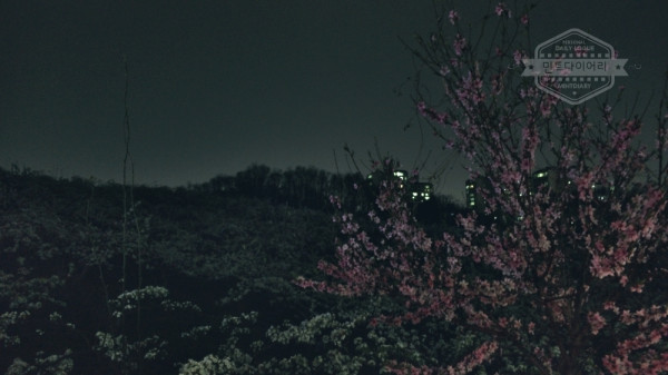 봄, 밤 산책