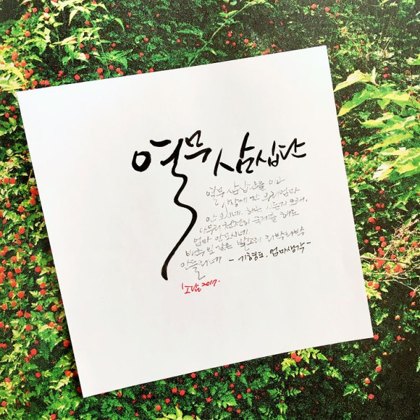 열무 삼십단