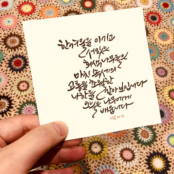 나무에게 배웁니다