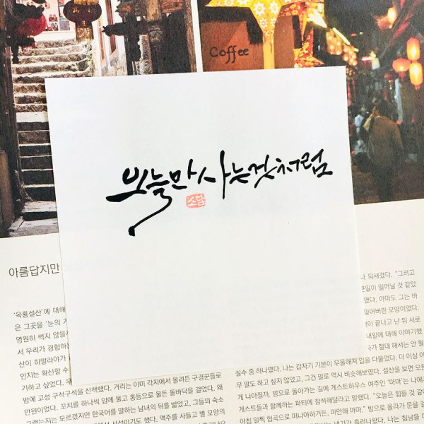 오늘만 사는것처럼