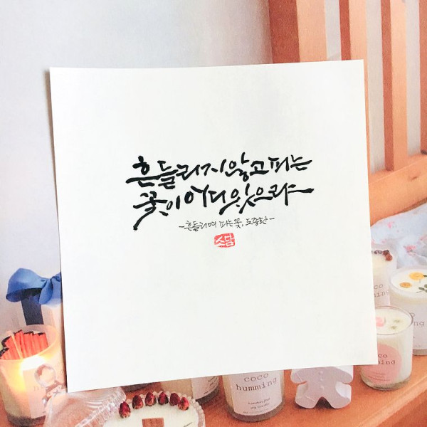 흔들리며 피는 꽃
