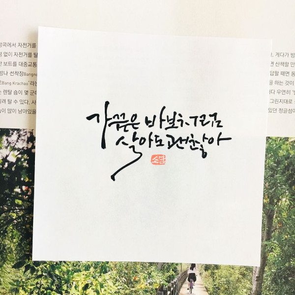 가끔은 바보처럼
