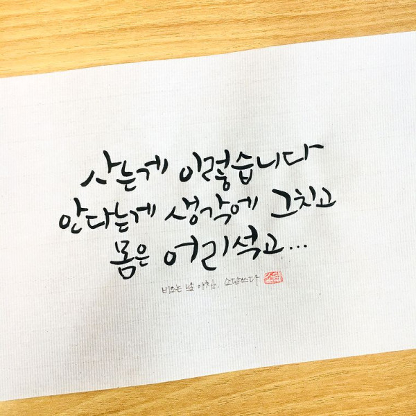 사는게 이렇습니다