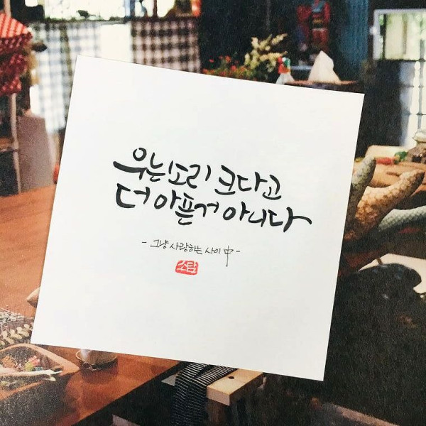 우는 소리 크다고 더 아픈거 아니다