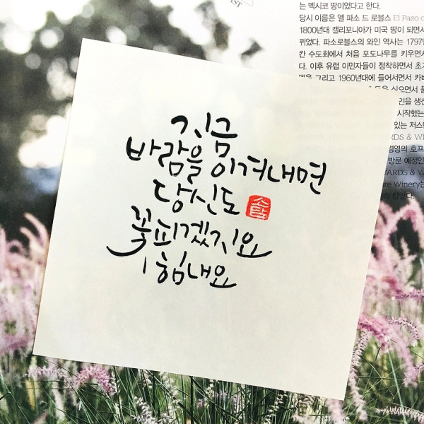 당신도 꽃 피겠지요