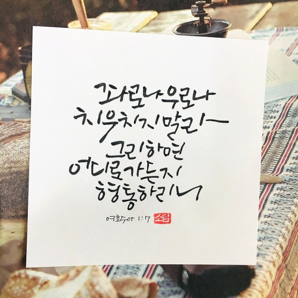 좌로나 우로나 치우치지 말라