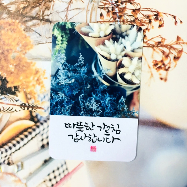 따뜻한 가르침 감사합니다