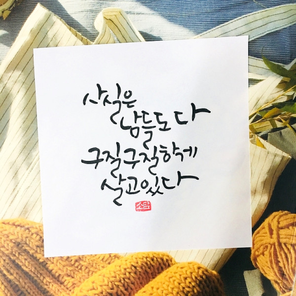 사실은 남들도 다 구질구질하게 살고있다