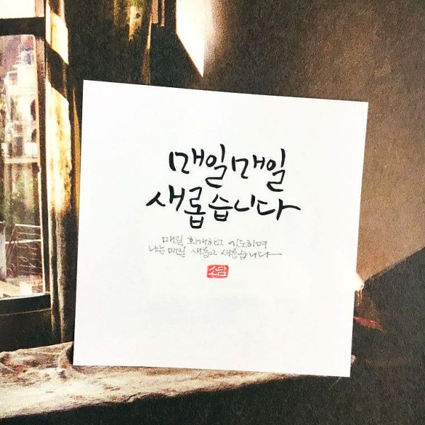 매일매일 새롭습니다