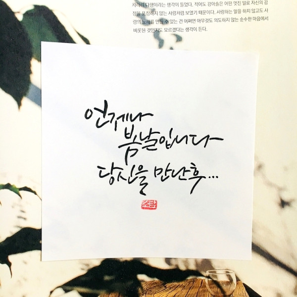언제나 봄날입니다