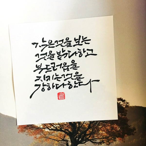 밝음과 강함