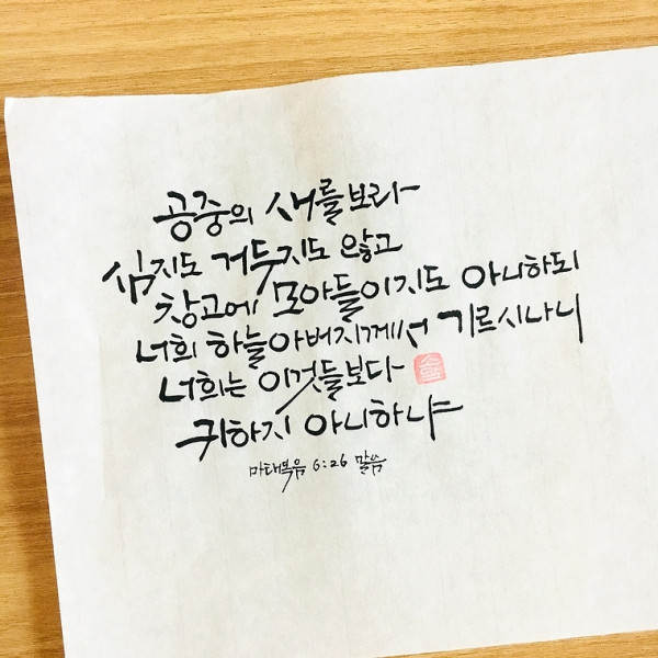 공중의 새를 보라