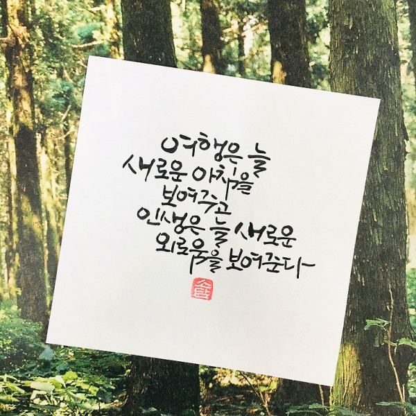 여행