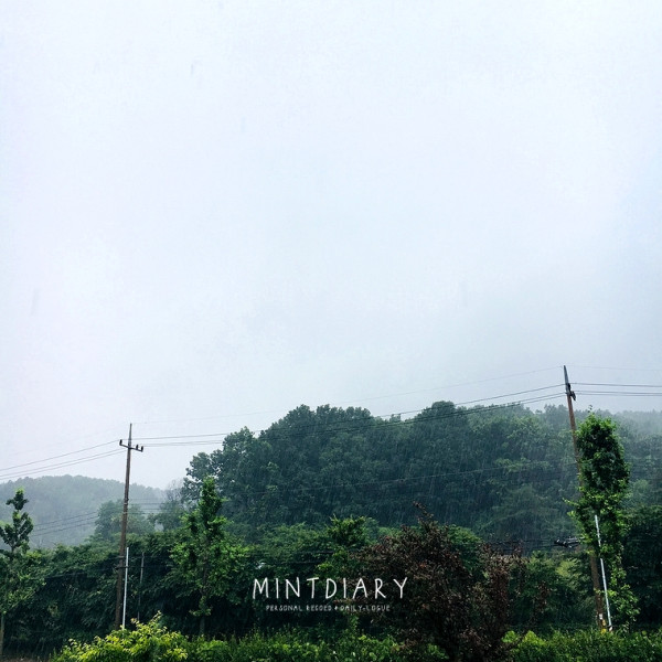 하루한컷, 20180630
