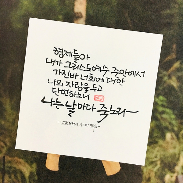 나는 날마다 죽노라
