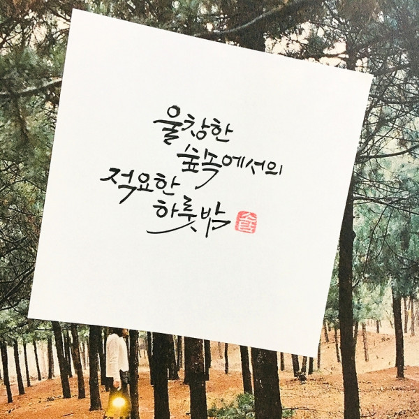 울창한 숲에서의 적요한 하룻밤