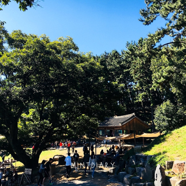 하루한컷, 20181014