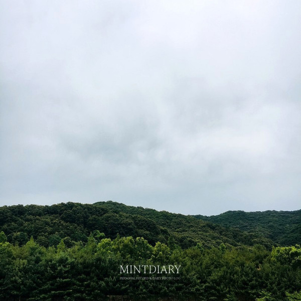 하루한컷 20190821
