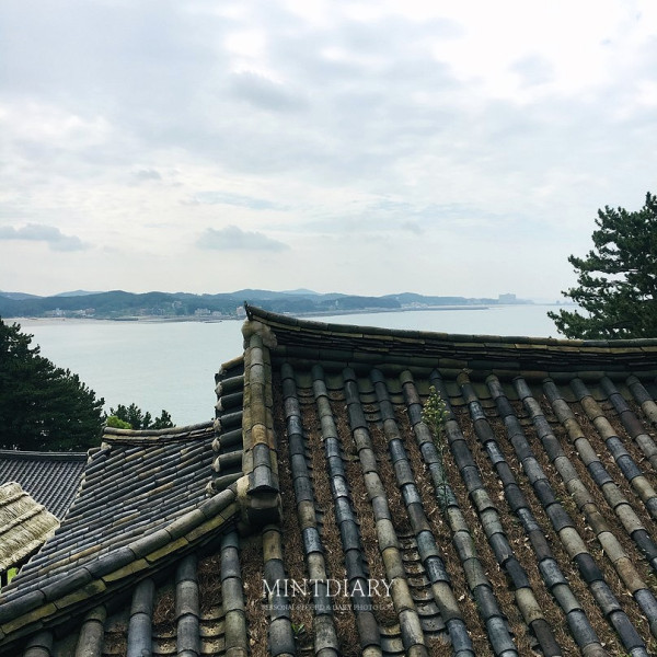하루한컷 20190923