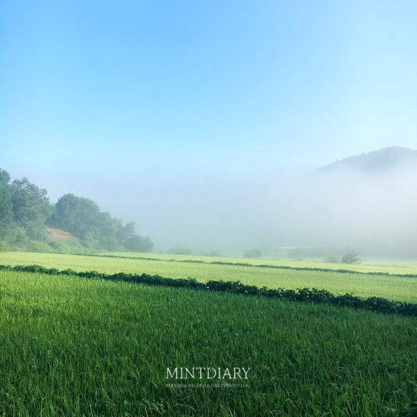 하루한컷 20190831