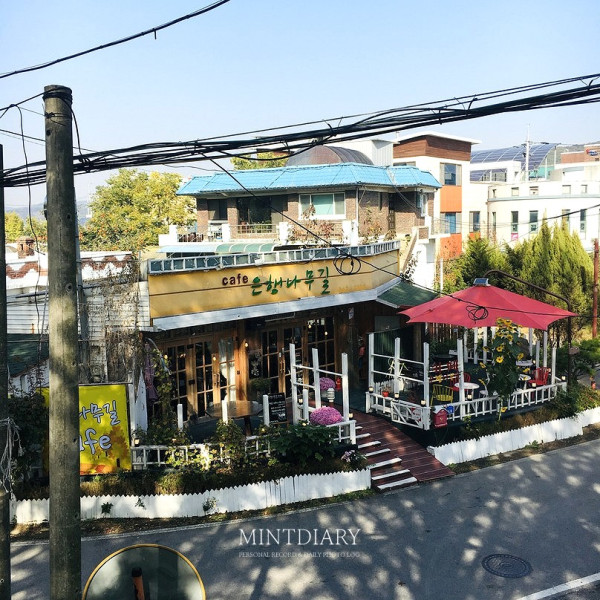 하루한컷 20191101