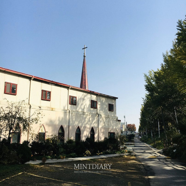 하루한컷 20191103