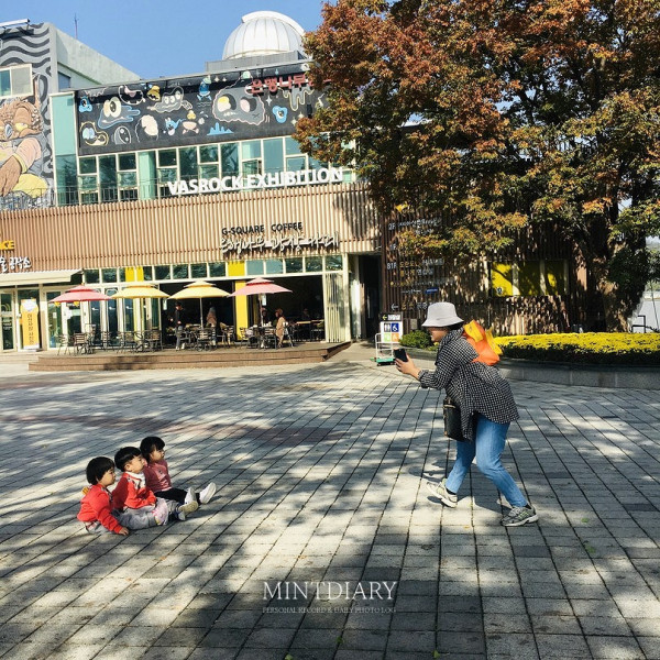 하루한컷 20191114