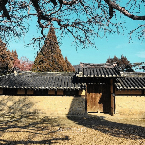 하루한컷 20191214