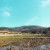 하루한컷 20200102