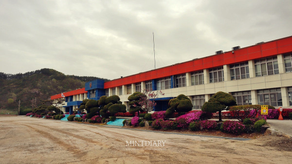 대술중학교