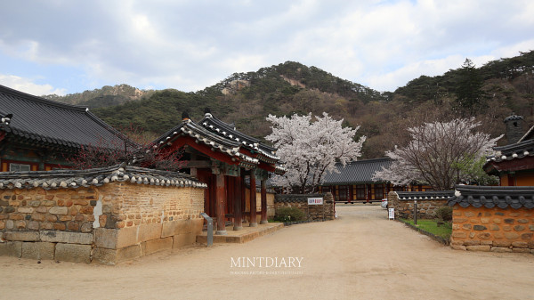 법주사