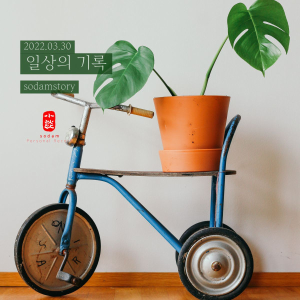 젊은 날 생각도 났습니다