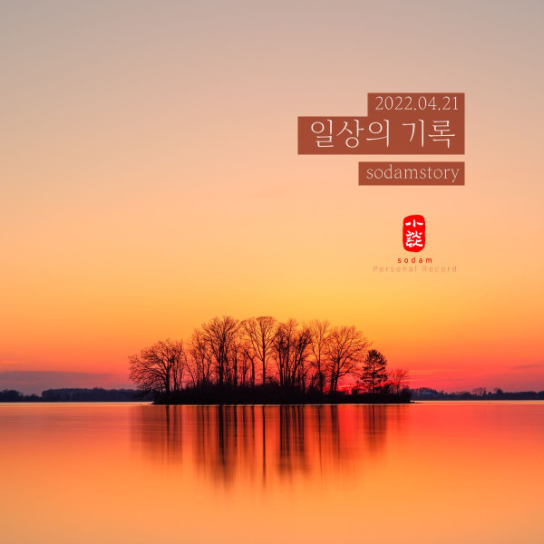 일상이 조금씩 돌아오고 있나 봅니다