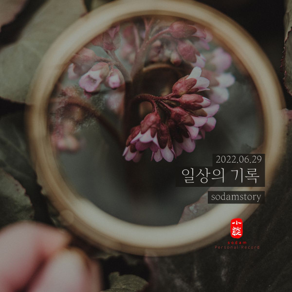 새 마음이 피어나기도 합니다