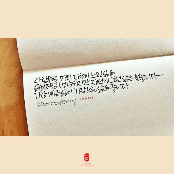 느린 삶