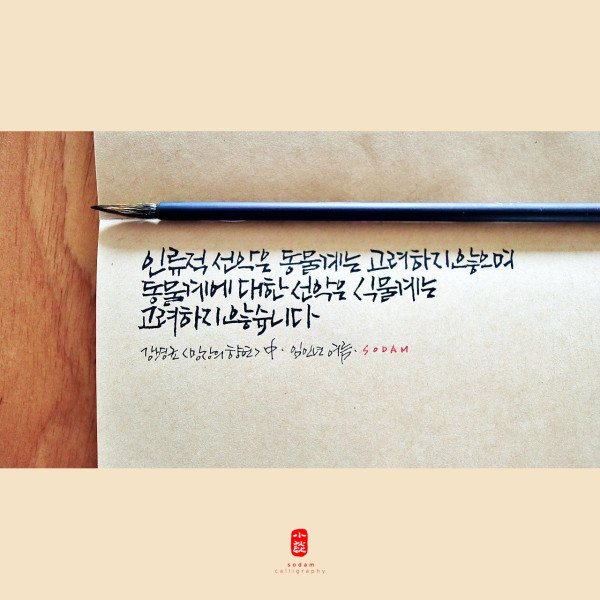 善惡(선악)