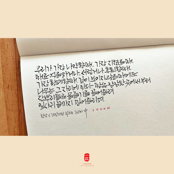 나무는 그 자리에 있다