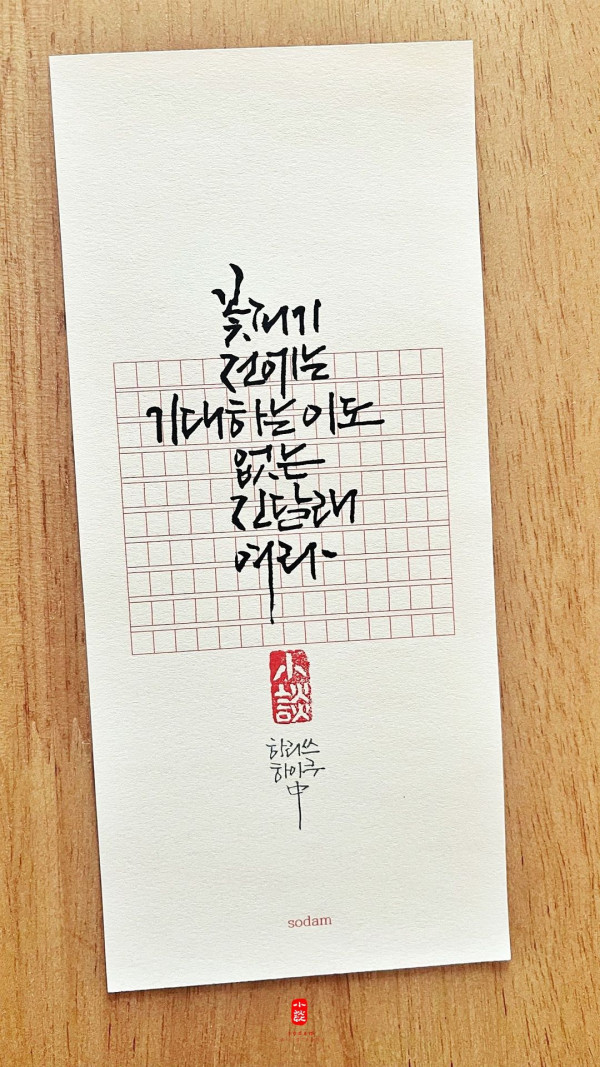 진달래 여라