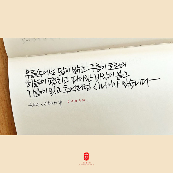 우물 속에는 달이 밝고