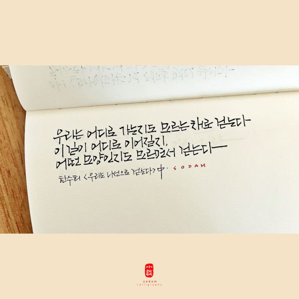 우리는 모르는 채로 걷는다