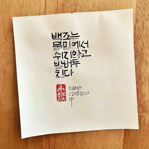 백조는 물밑에서 쉬지 않고 발버둥 친다