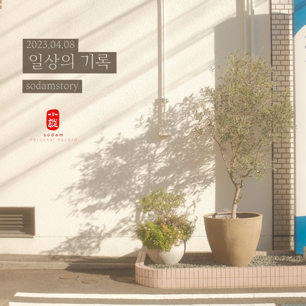 저만 웃음이 나오지 않습니다