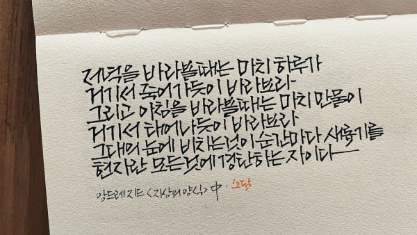 모든 것에 경탄하는 자