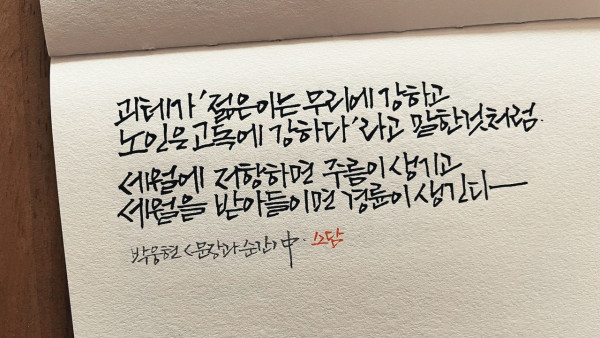 주름과 경륜