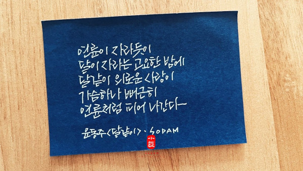 달이 자라는 고요한 밤에