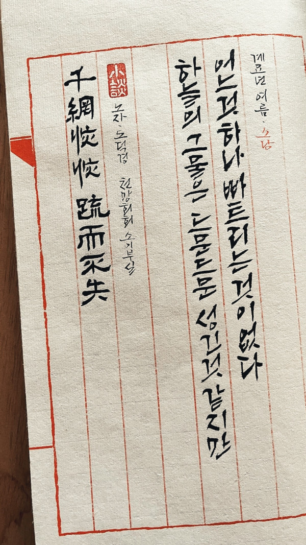 天網恢恢 疎而不失
