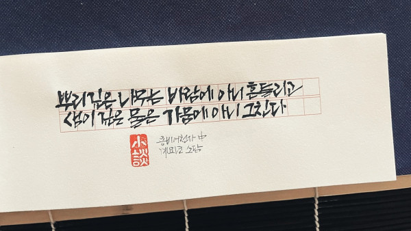 뿌리 깊은 나무