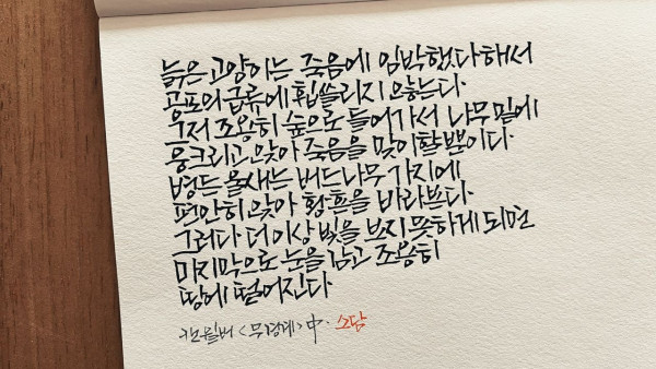 조용히 땅에 떨어진다