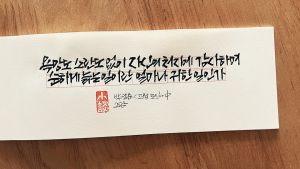 순하게 늙는 일